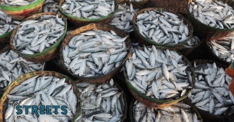 Read more about the article Goa, the Fish Capital