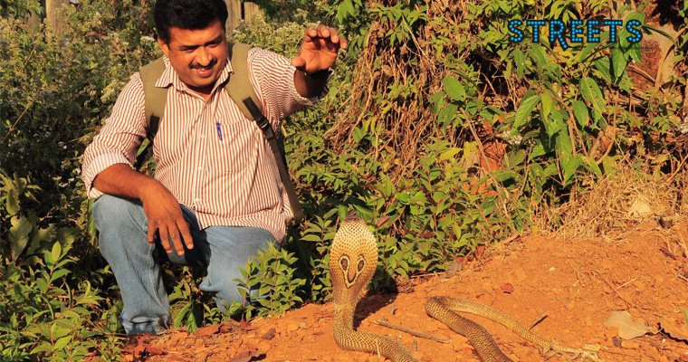 Read more about the article Saving Snakes in Goa They’re are not all bad