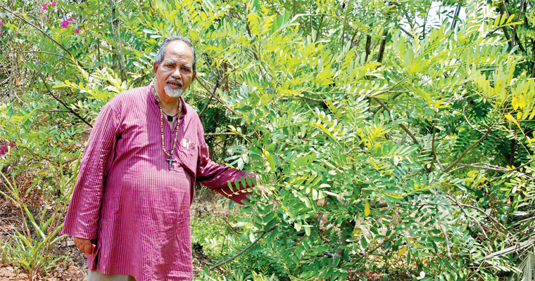 Read more about the article The Green fingers of Father Inacio Almeida