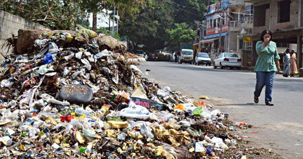 Read more about the article Goan to Waste