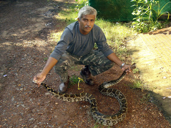 Read more about the article Rescuing pythons and pangolins