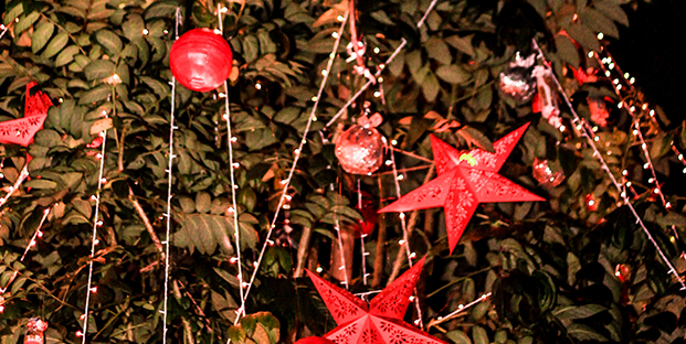 You are currently viewing Alila Diwa Goa ushers in the spirit of Christmas with an eco-friendly tree lighting ceremony