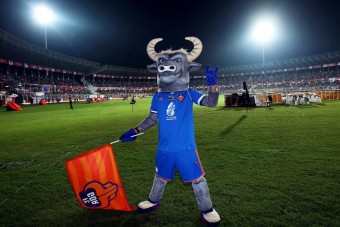 Read more about the article Gaurs Were ‘Tamed’ But Now Run Wild Again