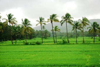 Read more about the article Eco-Tourism In Goa